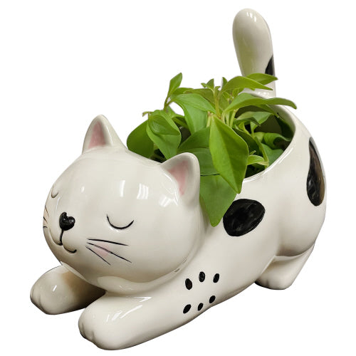 Planter-Kitty